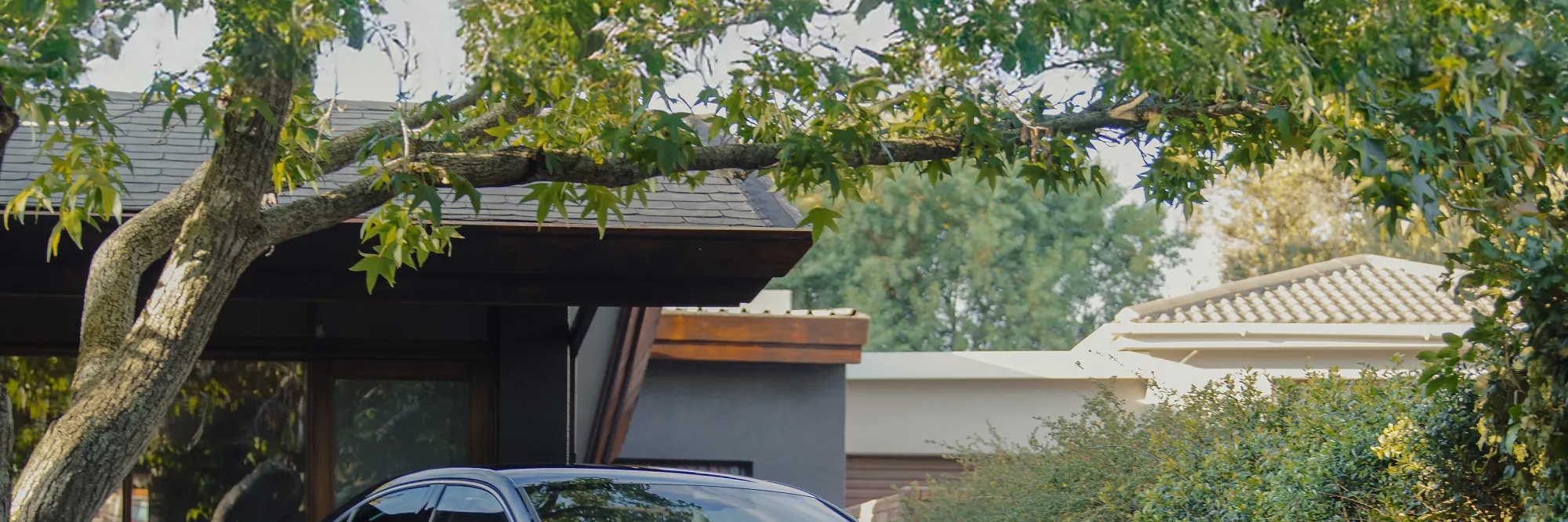 Black Octavia parked under a tree in residential area.